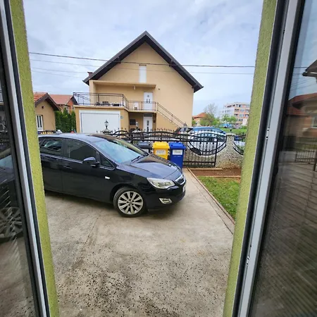 Maslina * Sarajevo