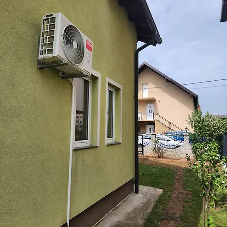 Maslina * Sarajevo