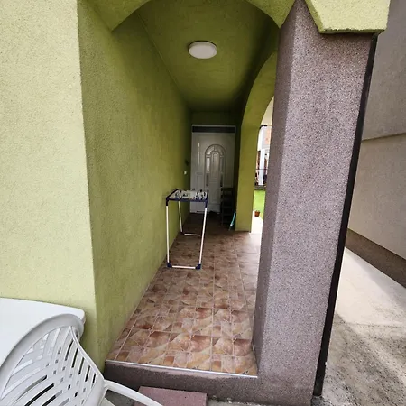 Maslina Sarajevo